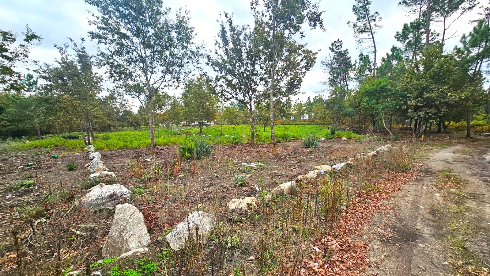 Terreno R�stico  Para Venda em Viseu